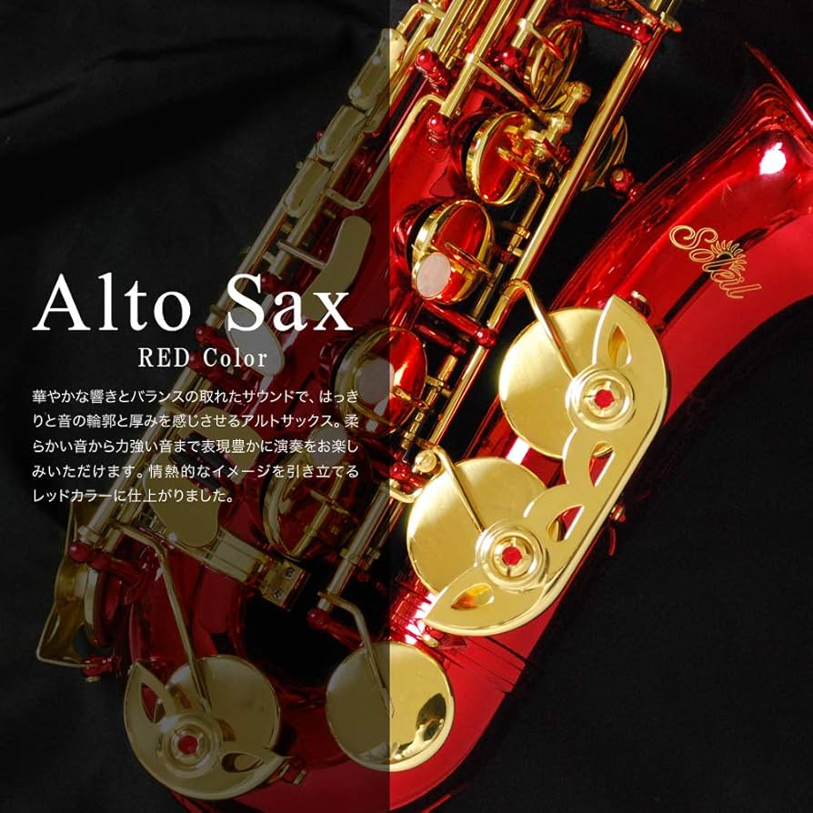 【美品】Soleil ソレイユ アルトサックス ケース付き Soleil アルトサックス SAL-1 単品〔専用ケース、その他付属品